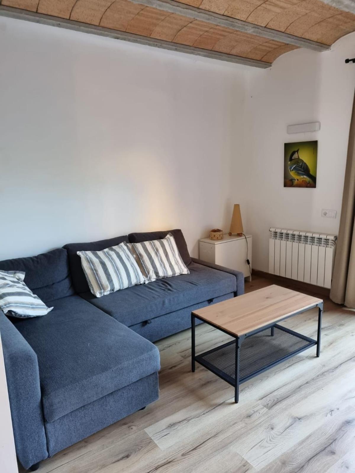 El Niu Dels Ocells Apartment Сан Хуан де лес Абадесес Екстериор снимка